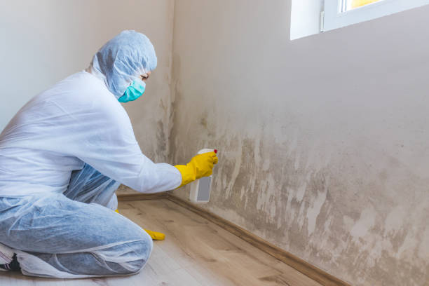 Licensed Crawl Space Mold Removal service in Pinellas Park, FL - WQB Mold Removal