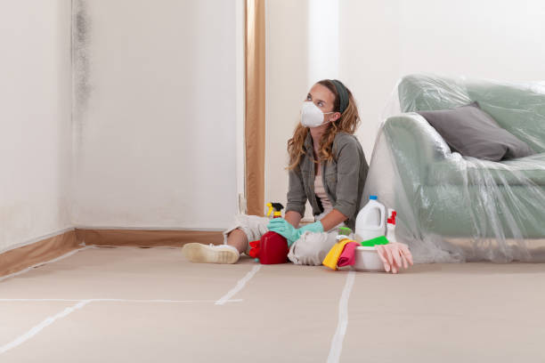 Reliable Crawl Space Mold Removal contractor in Pinellas Park, FL by WQB Mold Removal